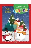 Cumpara ieftin Fulg de nea. Cartea mea de colorat