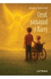 Cerul, pamantul si Rares - Alexandra Tiponut-Cotut