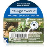 Yankee Candle Silver Sage &amp; Pine ceară pentru aromatizator 22 g