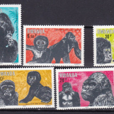 Rwanda 1983 fauna maimute MI 1242-1249 MNH