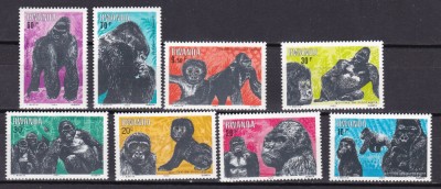 Rwanda 1983 fauna maimute MI 1242-1249 MNH foto