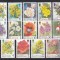 Isle of Man 1998, 1999 - Flori, 3 Serii, Set Complet, MNH