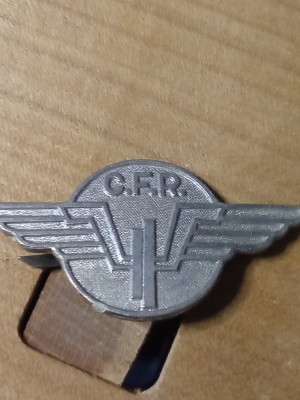 Insigne (4) CFR foto