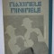 Gheorghe Schwartz - Maximele. Minimele