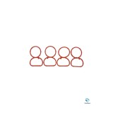 Set garnituri galerie admisie BMW cod motor N47