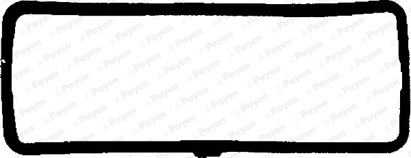 PAYEN JN658 Garnitura, capac supape