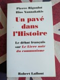 Pierre Rigoulot, Ilios Yannakakis, Un pave dans l&#039;histoire le d&eacute;bat fran&ccedil;ais sur Le livre noir du communisme