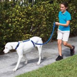 Lesa Corectoare Caini The Instant Trainer, 180cm, Antrenament Fara Socuri, Recomandata &gt;14kg