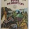 FOCUL PAMANTULUI de IOAN CERNAT si GEO CALUGARU , 1986