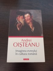 Andrei Oisteanu - Imaginea evreului in cultura romana foto