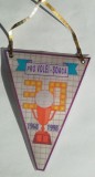 D9 33 - fanion - sport - volei - Pro volei - Soaca - locul I