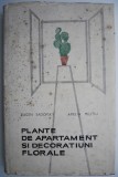 Plante de apartament si decoratiuni florale &ndash; Eugen Sadofsky, Amelia Militiu