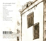 10 Stories Down | The Pineapple Thief