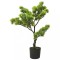 vidaXL Bonsai Pinus artificial cu ghiveci, verde, 60 cm 336316