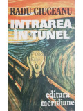 Radu Ciuceanu - Intrarea in tunel - Memorii, vol. 1 (editia 1991)