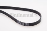 CONTINENTAL CTAM 6PK2404 Curea transmisie cu caneluri