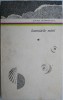 Iluminarile marii - Anghel Dumbraveanu - Poezii cu Autograf - Editura necunoscuta