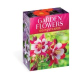 Garden Flowers, 100 Postcards: A Colorful Bouquet from Award-Winning Photography Rob Cardillo