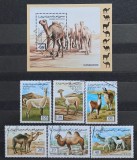 Seria Completă + Coliță Sahara R.A.S.D. 1996 - Camile și Lame, Dromader, Guanaco, Vicunia, 7v - Ștampilate -A222