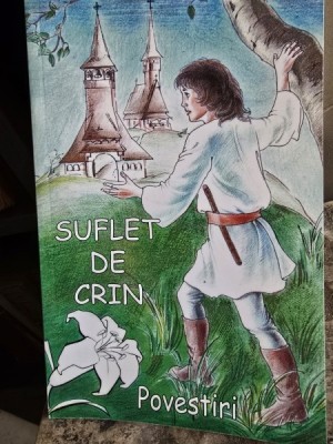 Suflet de crin. Povestiri - Monahia Parascheva Avadanei foto