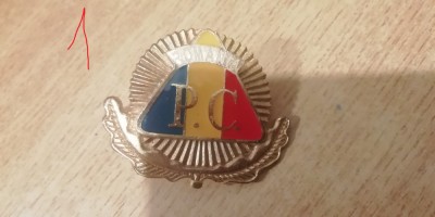 QW14 - Emblema militara - Comunism - Garzi patriotice - piesa de colectie foto