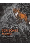 Scrisoare mamei - Serghei Esenin