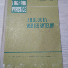 ZOOLOGIA VERTEBRATELOR Lucrari Practice- M. Teodoreanu, Z. Matic - 1966, 211p.