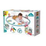 Cumpara ieftin Cerc cu activitati senzoriale SES Creative, pentru bebelusi
