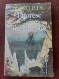 Pitoresc si melancolie- Andrei Plesu