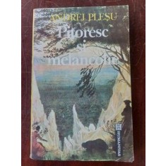 Pitoresc si melancolie- Andrei Plesu