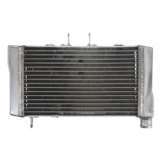 Radiator Racire HONDA NT 650 Deauville an 1998-2005 Apa