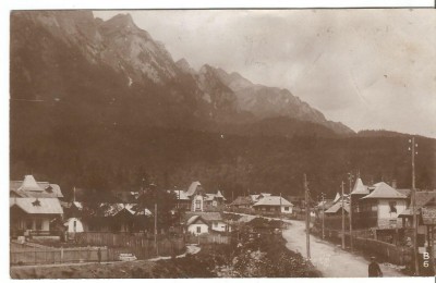 carte postala()- BUSTENI -Valea Alba foto