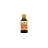Ulei Samburi Caise HERBAVIT 50ml Presat la Rece, Vitamina E, Tratament Natural Piele, Par, Uz Cosmetic si Alimentar