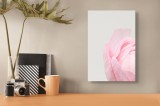 Tablou Canvas, "Petale delicate de primăvară roz", Delicat, Roz, Petale, Floare, Fragil, Minimalist, Moale, Pastel, Elegant, Simplu, 26 x 39 cm, CMCLA