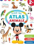 Disney Bebe. Primul meu atlas. Animale - Autor Anonim - Litera