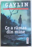 CE A RAMAS DIN MINE de ALISON GAYLIN , 2017