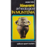 Mioara Turcu - Itinerare arheologice in Muntenia (Editia: 1985)