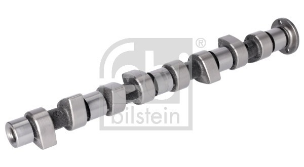 FEBI BILSTEIN 03124 Ax cu came