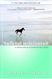 Sufletul neinlantuit | Michael A. Singer, Adevar Divin