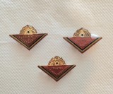 Insigne Pionier RSR: Fruntas in Munca Patriotica
