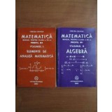 Matematica. Manual pentru clasa a XII-a, Profil M1 (2 volume) - Mircea Ganga