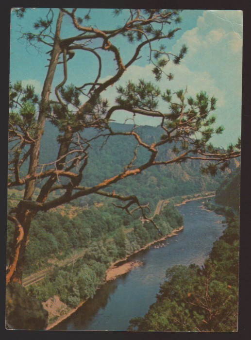 CPIB 22976 - CARTE POSTALA - VALEA OLTULUI LA COZIA