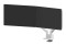 icon 12