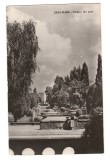 CPIB 21690 - CARTE POSTALA - SATU MARE. VEDERE DIN PARC, RPR, NECIRCULATA, Fotografie