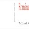Mihail Galatanu, Romana cu prostii, Editia II, biblioteca interzisa