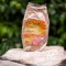 PSYLLIUM TARATE 100GR