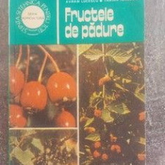 Fructele de padure- Avram Lucescu, Traian Ionescu