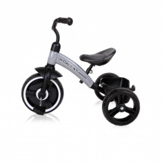 Tricicleta pentru copii Dallas Grey