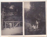 Bnk foto - Poiana Tapului 1939, Alb-Negru, Romania 1900 - 1950, Natura