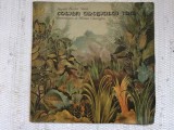 Coliba unchiului tom harriet beecher stowe disc vinyl lp poveste copii EXE 02847, Pentru copii, Electrecord